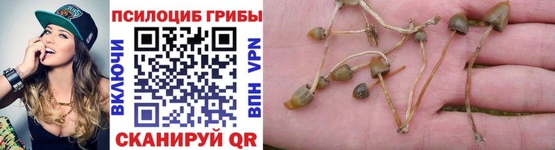 Псилоцибиновые грибы Magic Shrooms  Пущино 